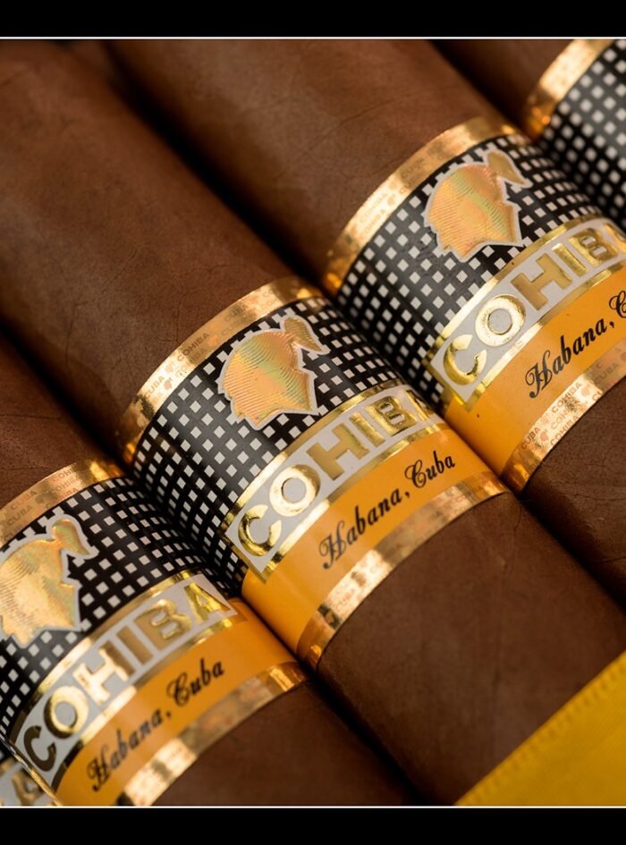 Cohiba-Siglo-VI-4
