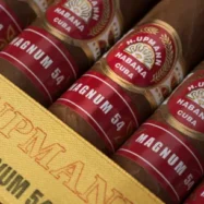 H-Upmann-Magnum54_05