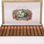 saint-luis-rey-regios4